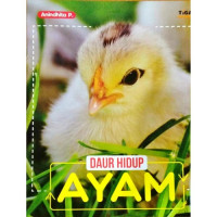 Image of Daur Hidup Ayam