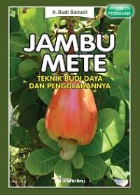 Image of Menyelidiki Udara